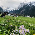 Mein Trail * Engelberg