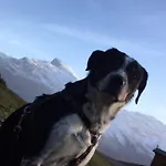 Mein Trail Engelberg